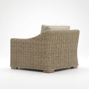 Cove Lounge Chair - Back View